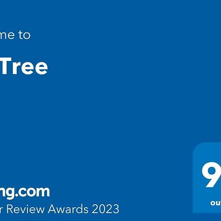 Fig Tree Διαμέρισμα Povlja  Εξωτερικό φωτογραφία