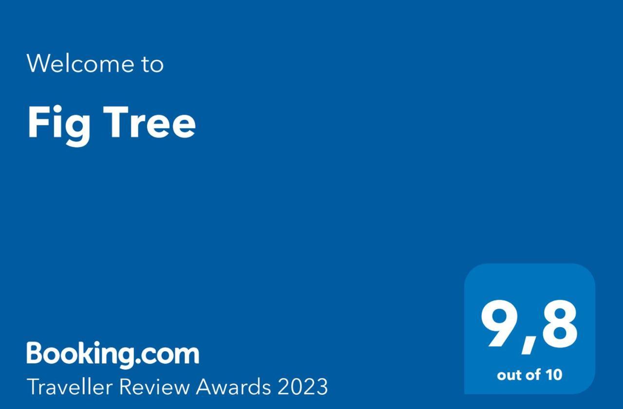 Fig Tree Διαμέρισμα Povlja  Εξωτερικό φωτογραφία