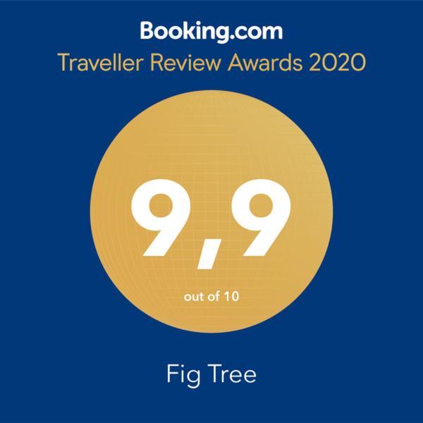 Fig Tree Διαμέρισμα Povlja  Εξωτερικό φωτογραφία